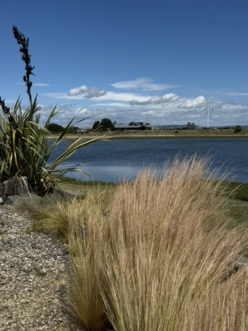Dune grasses on the Hayling Island coast