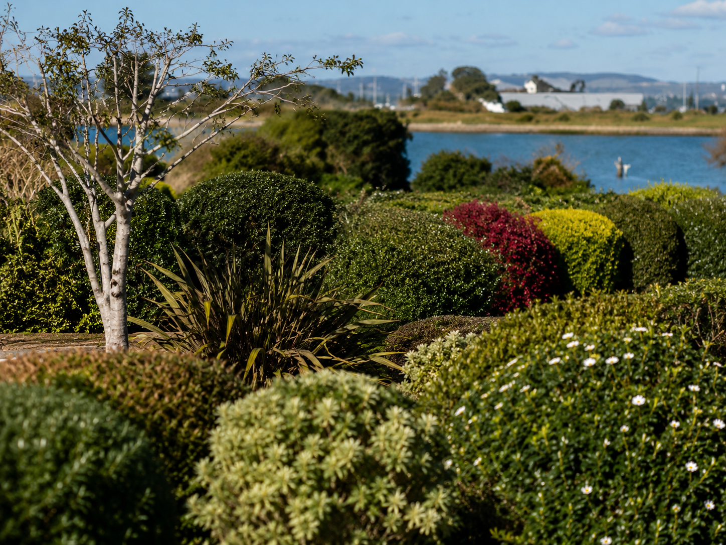 Coastal garden overlooking the water at Wittering Sands, Hayling Island